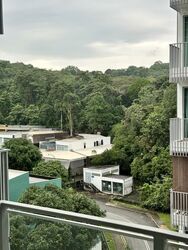 Natura@Hillview (D23), Apartment #515907141